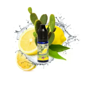 Lemon & Cactus Retro Juice Flavour Concentrate 10 ml