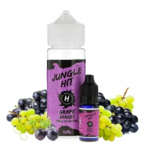 Grape Berries Ice Hit Aroma-Shot XL