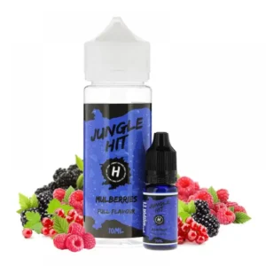 Mulberries Ice Hit Aroma-Shot XL